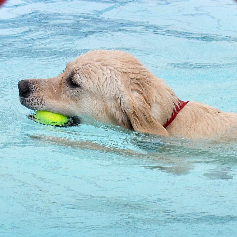 What is your Return Policy?